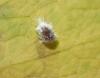 313030 – Photo : Maria Justamond – Royaume-Uni